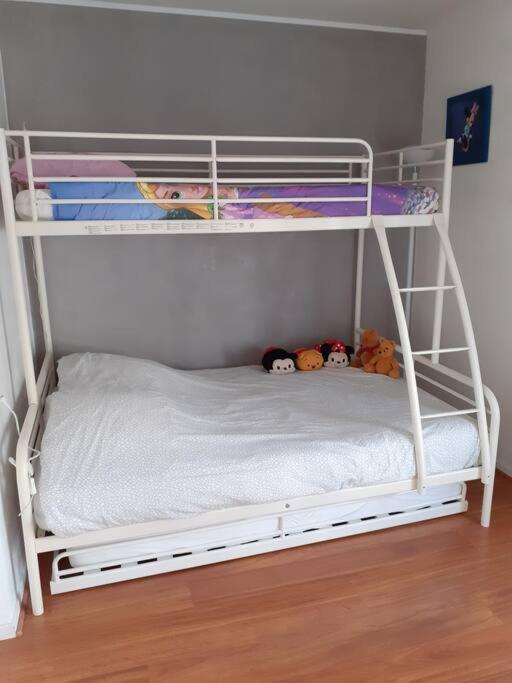 Le Royal Condo, 13 P, Wifi & Parking A Disneyland *